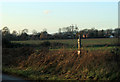 2011 : Farmland at dusk in the Vale of Pewsey