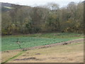 Footpath on the Chiltern Way    