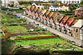 Beer: Beer Garden and Cottages