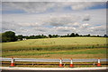 Wheat field by the M25