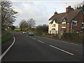 A51 at Burston Cottage Farm