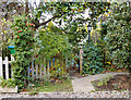 Jungle with wheely-bin and lamp-post: front gardens at the Model Cottages, East Sheen