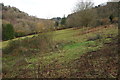 Penarth Brook valley