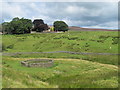 Sheepfold below Harwood Shield