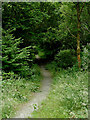 Dismantled railway south of Tynygraig, Ceredigion