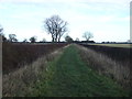 Moor Lane (track) towards Moor Farm