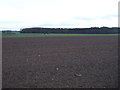 SE4548 : Farmland towards Walton Wood by JThomas