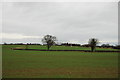 A view over fields towards the MOD rifle range in Kingsbury