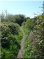 On the edge of Rhuddlan