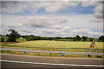 TQ5693 : Farmland by the M25 by N Chadwick
