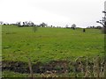 Agharonan Townland