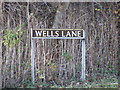 TM2482 : Wells Lane sign by Geographer