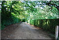 Footpath to Beech Hill