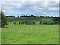 Farmland around East Dukesfield (2)