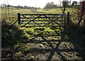 Gate by Church Lane