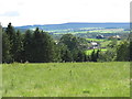 Pastures and woodland above Rowley Burn near Juniper