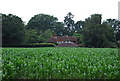 Old Shepherds Farm across a maize field