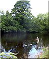 Fly fishing by Ben Rhydding (not  by J.R. Hartley! )