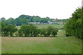 Pasture near Pontrhydfendigaid, Ceredigion