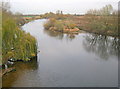 River Trent at Kelham Bridge