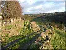 SE0023 : Footpath and driveway at Lower Lumb, Cragg Vale by Humphrey Bolton