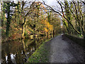 Peak Forest Canal