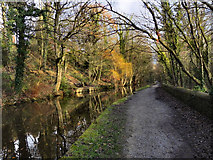 SJ9490 : Peak Forest Canal by David Dixon