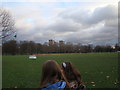 Towerblocks on Old Ford Road viewed from Victoria Park