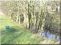 Riverbank, Hogsmill River Park