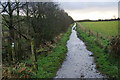 Path to Spout Fold Farm