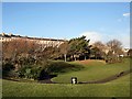 Gardens in Adelaide Crescent, Hove