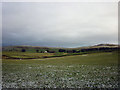 Pastures, looking towards Bland House