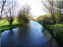SU0425 : River Ebble, Broad Chalke - 10 by Maigheach-gheal