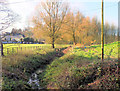 Upstream from May Bridge