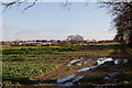 Footpath approaching West of Waterlooville housing development site