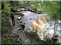 NY7540 : Footbridge and Waterfall, Ash Gill by Les Hull