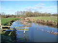 A pool on the Windrush near Minster Lovell