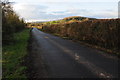 Country Road near Hooks Farm