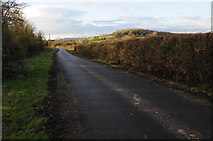 SO7416 : Country Road near Hooks Farm by Philip Halling