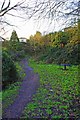 SO8480 : Public footpath near Austcliff Bridge, near Caunsall by P L Chadwick