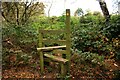 Stile near Bickerton