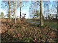 Track onto Mare Hill from the car park