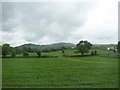 Undulating pasture land alongside the A25