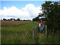 Field path over minor brook near Pott