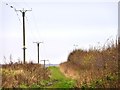 SE4832 : Telegraph poles along New Lane by Christine Johnstone