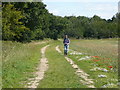 On the Essex Way west of Lawford