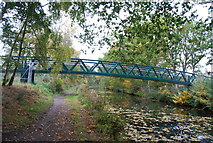 SU8752 : Footbridge, Basingstoke Canal by N Chadwick