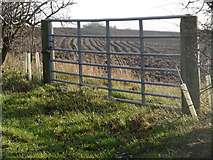 SE9918 : Field Gate near Horkstow by David Wright