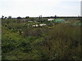 Allotments near Hethe