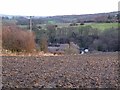 Field and houses in the valley of the Stocksfield Burn